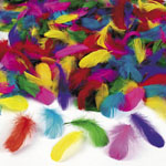 Bulk Feather Assortment<br>2 3/4"-600 Piece(s)